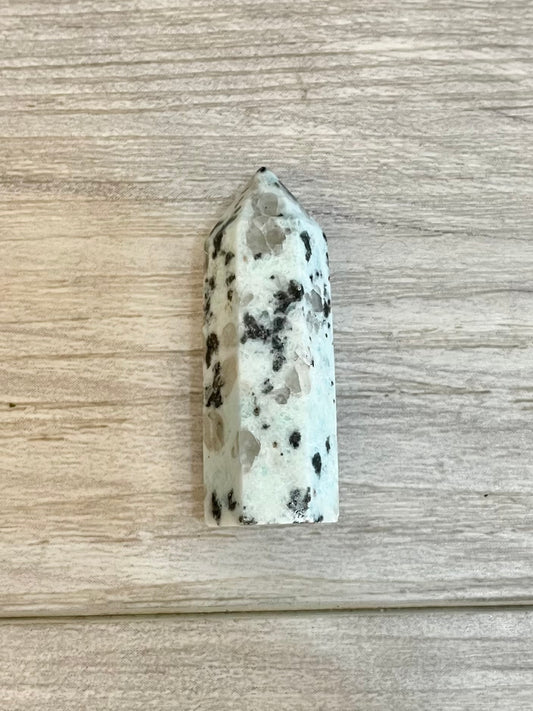 Mini Kiwi Jasper point