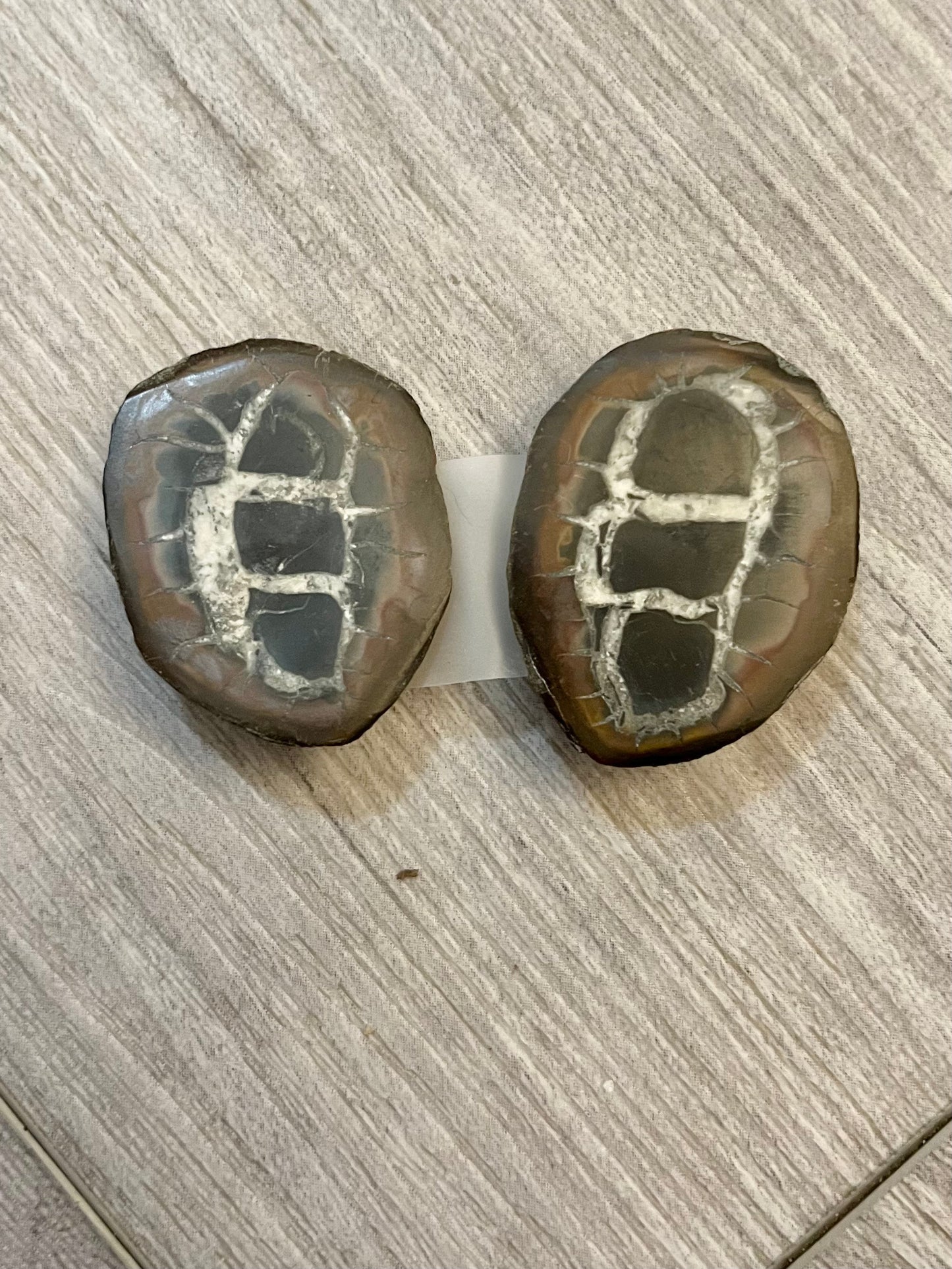 Septarian Nodule matched pair